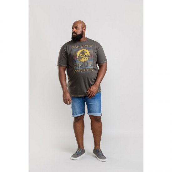 D555 Stanley T-shirt Khaki - T-krekli - T-krekli - 2XL-14XL
