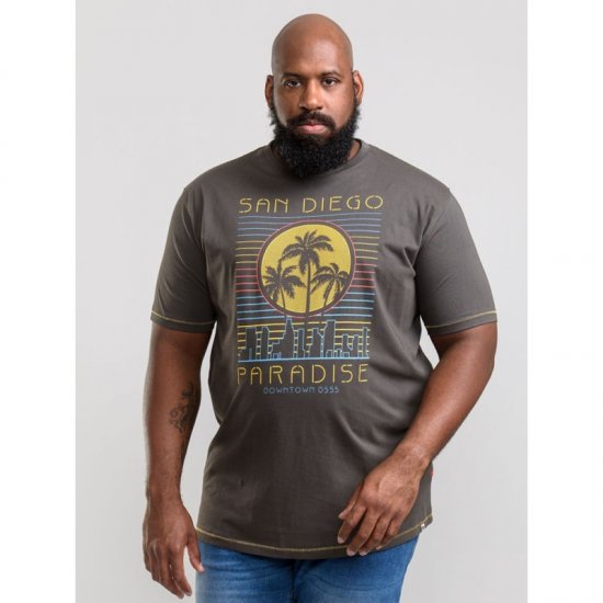 D555 Stanley T-shirt Khaki - T-krekli - T-krekli - 2XL-14XL