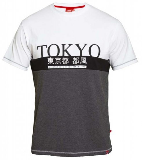 D555 Morris T-shirt Charcoal - T-krekli - T-krekli - 2XL-14XL