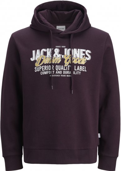 Jack & Jones 2 COL LOGO Hoodie Purple - Džemperi un džemperi ar kapuci - Džemperi - 2XL-14XL