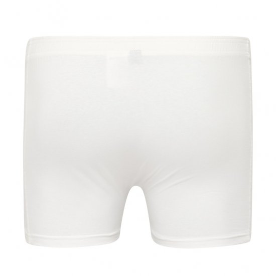 North Latitude Trunks Underwear White - Bokseršorti - Vīriešu lielie bokseru šorti