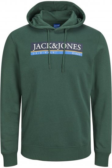 Jack & Jones Codyy Hoodie Green - Džemperi un džemperi ar kapuci - Džemperi - 2XL-14XL
