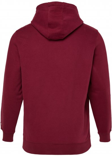 JP1880 Hoodie with Embroidery Aubergine - Džemperi un džemperi ar kapuci - Džemperi - 2XL-14XL