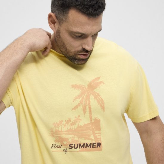 North Latitude T-Shirt Printed Yellow - T-krekli - T-krekli - 2XL-14XL